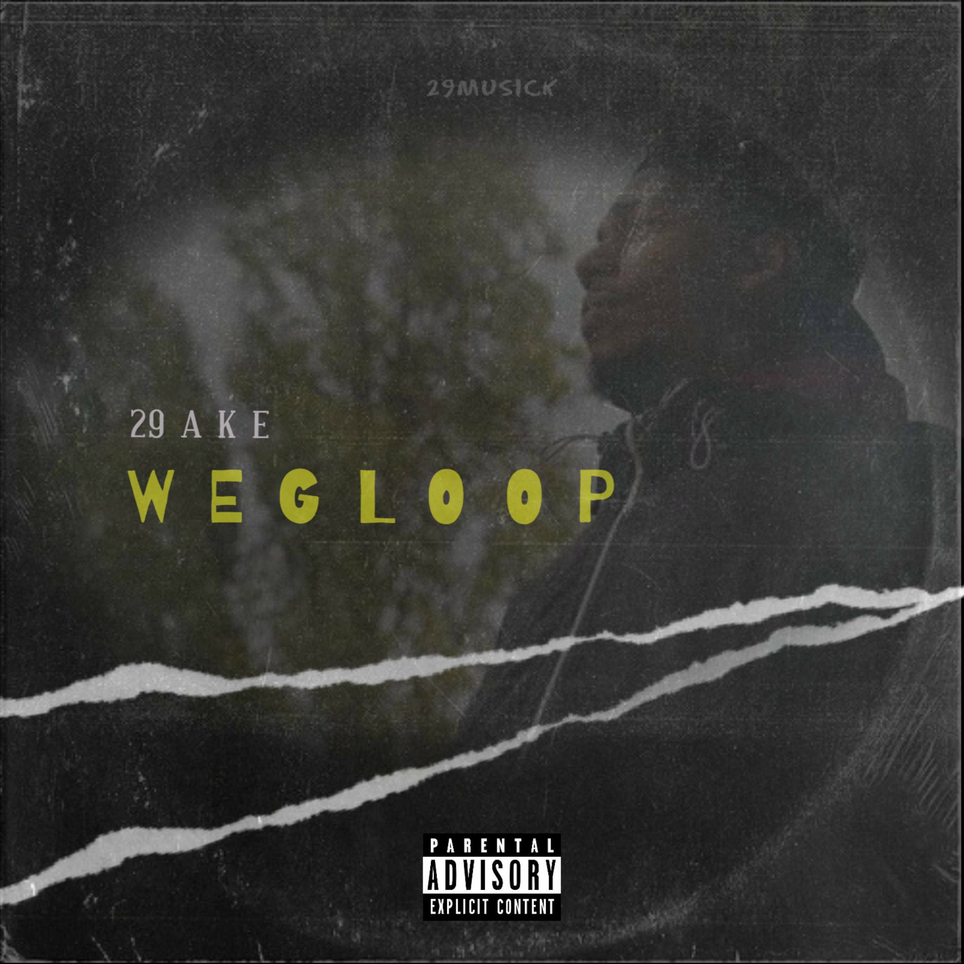 Album cover of Wegloop