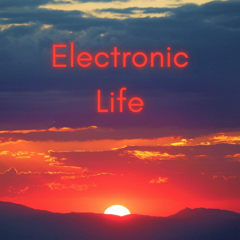 Picture of Electronic life