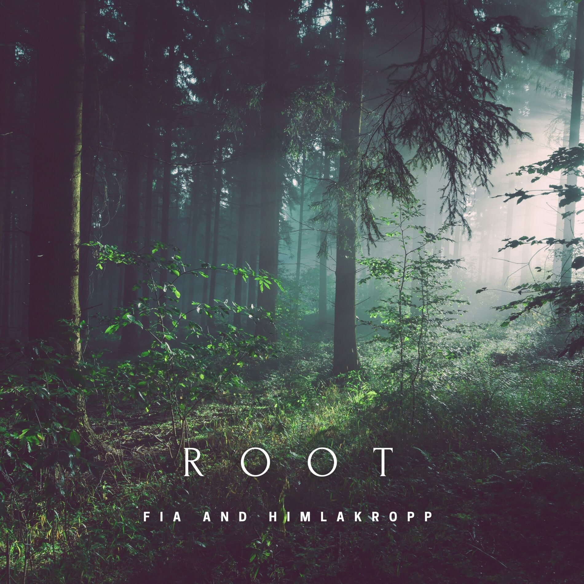 Album cover of Root