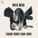 Throw Down Your Guns (Album Version) by Wild Belle album cover