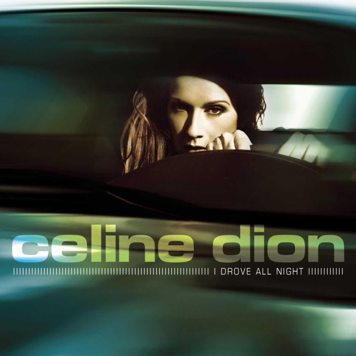 Album cover of I Drove All Night