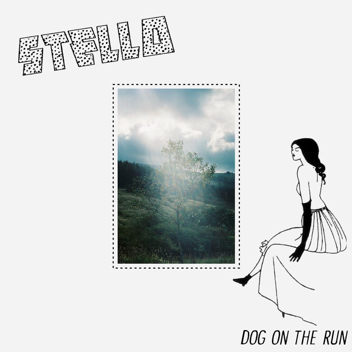 Album cover of Dog on the Run