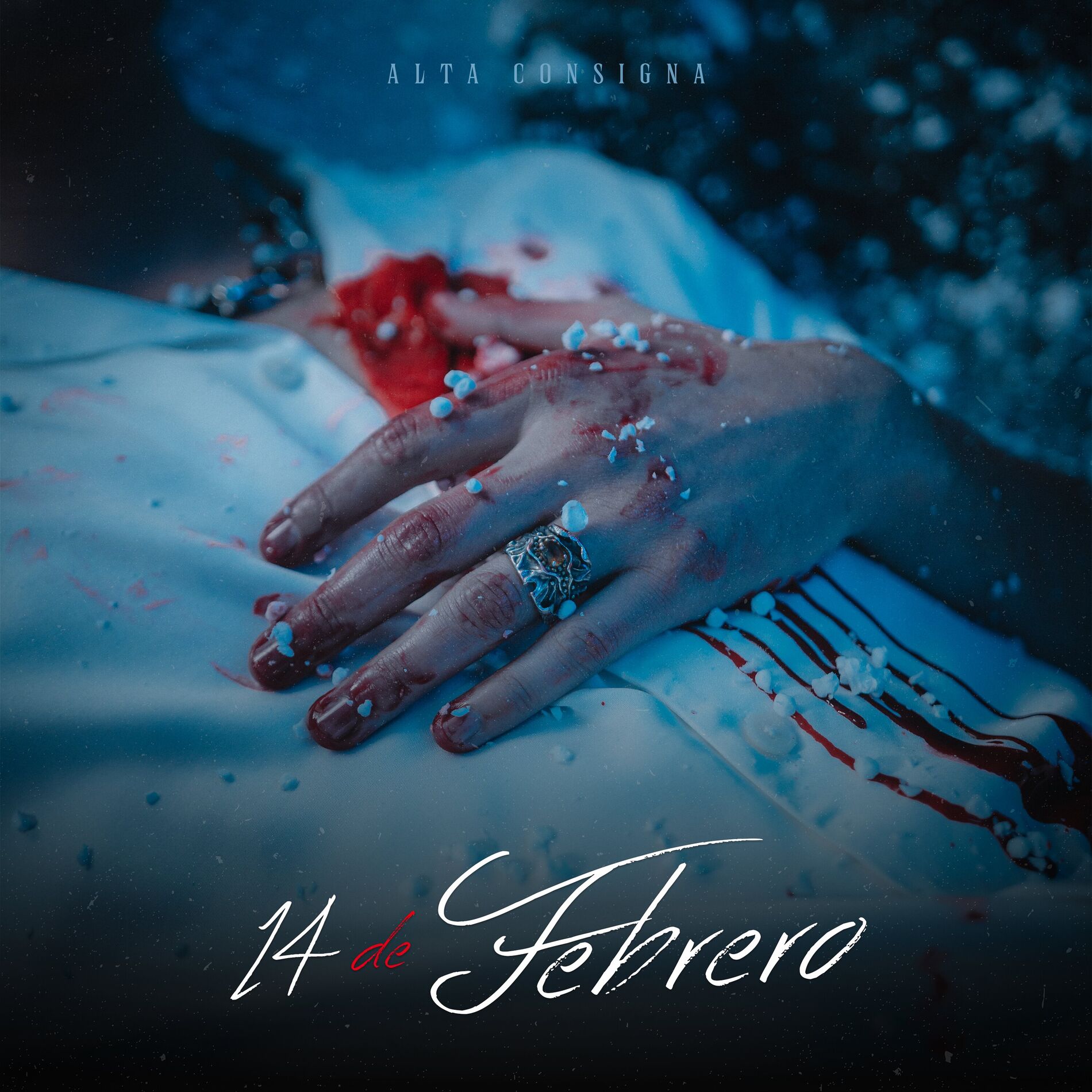 Album cover of 14 De Febrero
