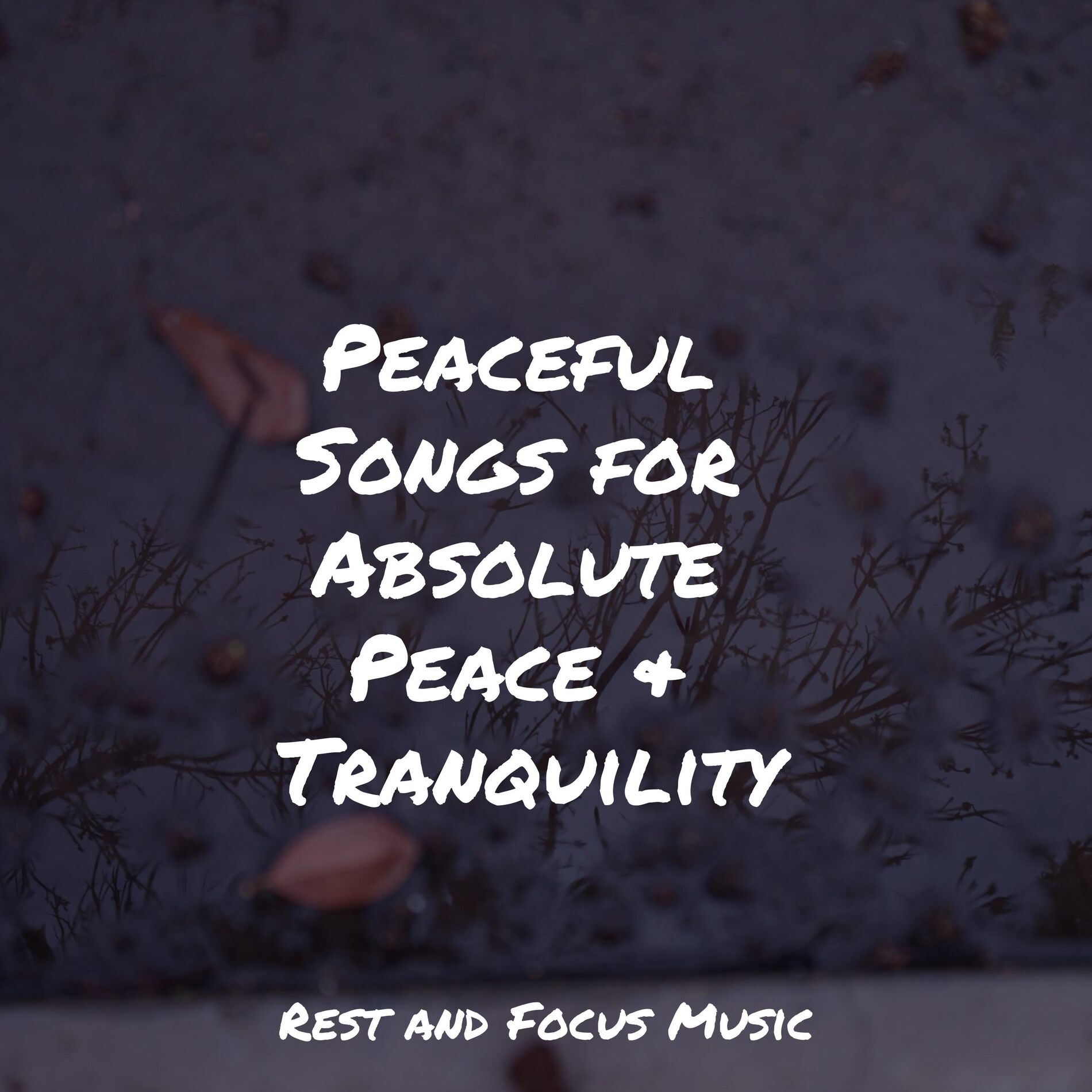 Album cover of Peaceful Songs for Absolute Peace & Tranquility