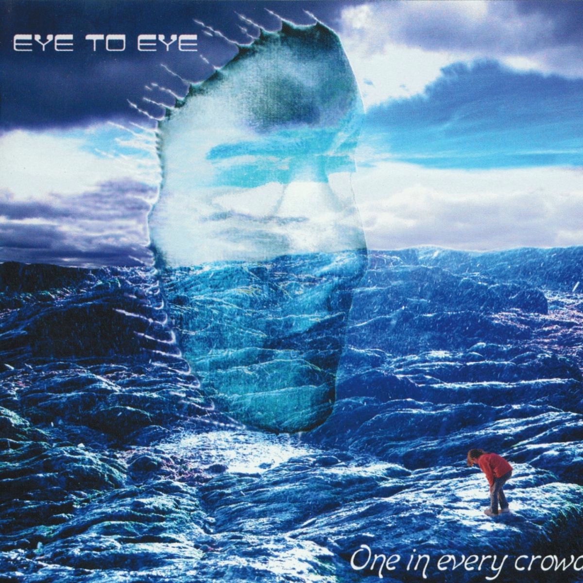 Album cover of One In Every Crowd