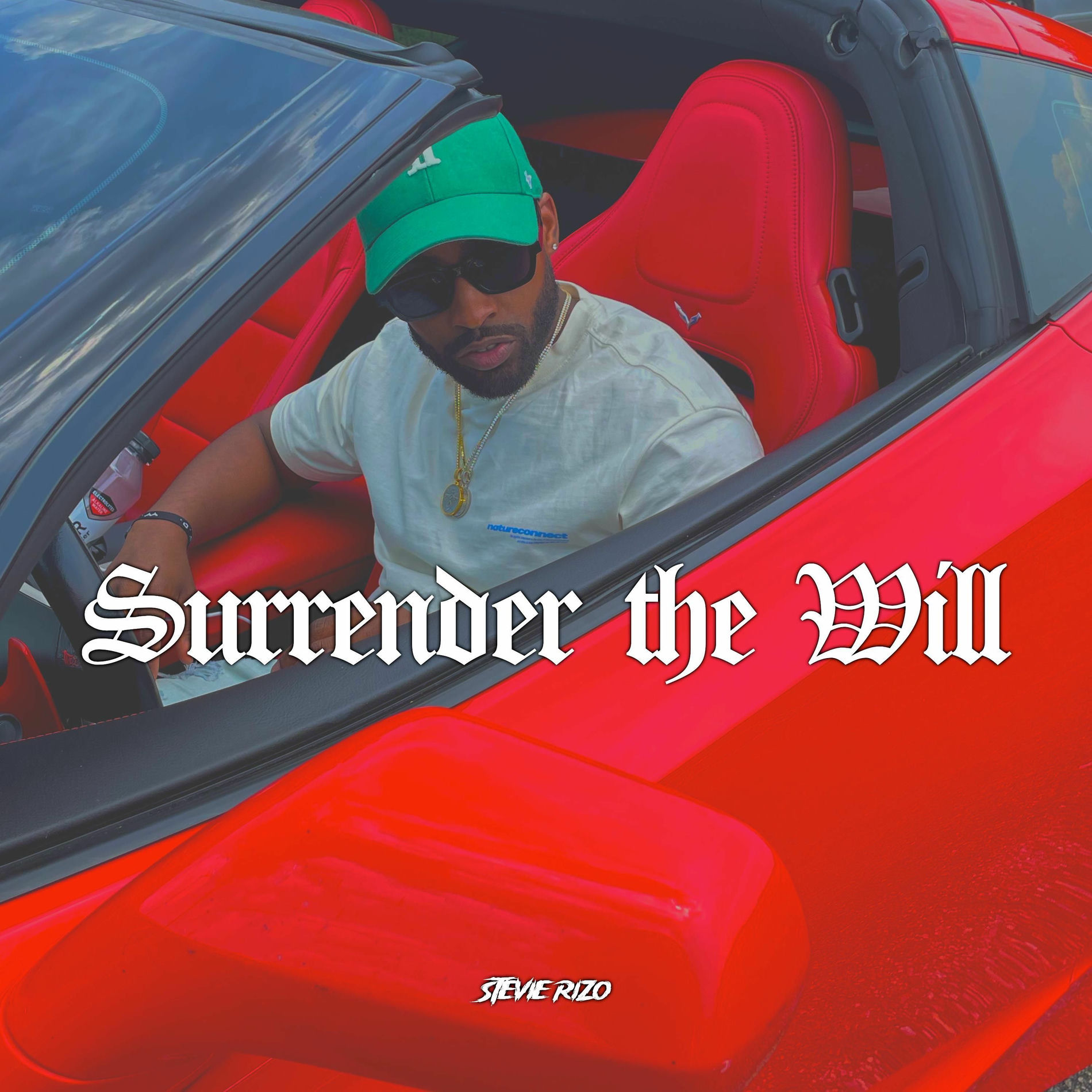 Album cover of Surrender The Will