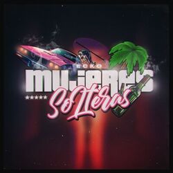Cover of Mujeres Solteras