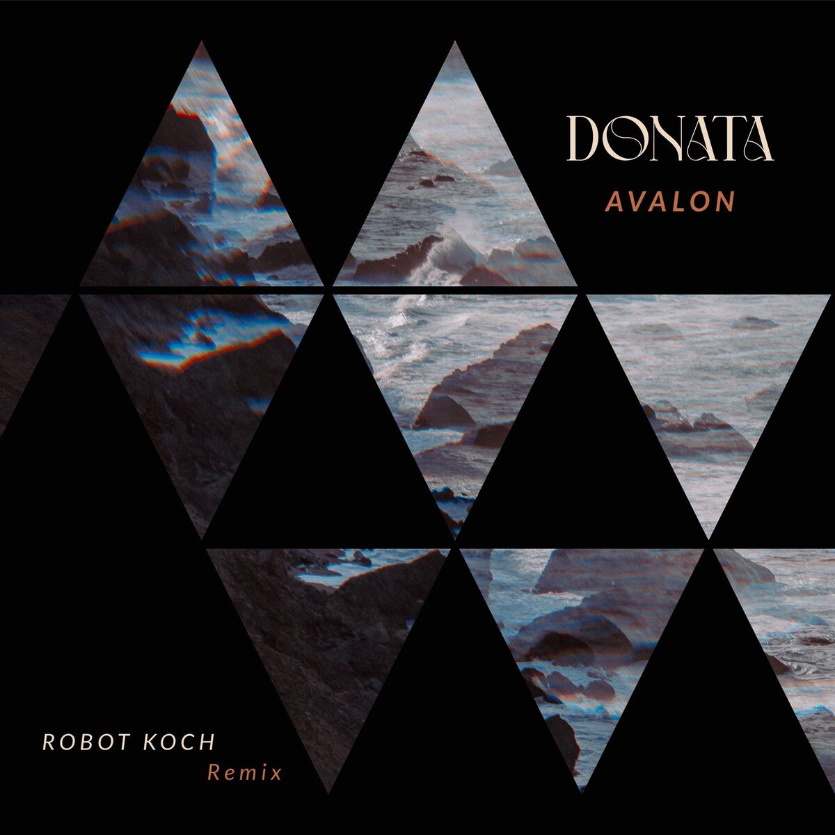 Album cover of Avalon (Robot Koch Remix)