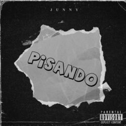 Cover of Pisando