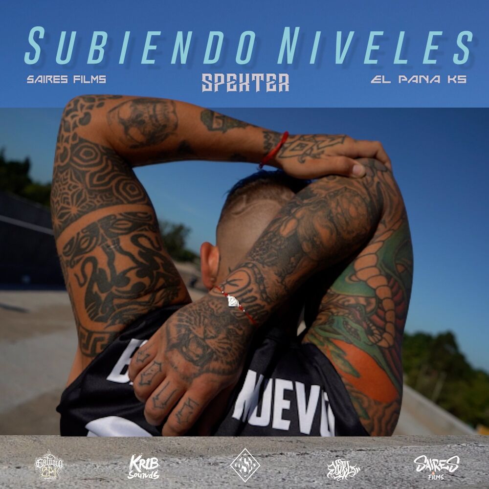 Picture of Subiendo Niveles