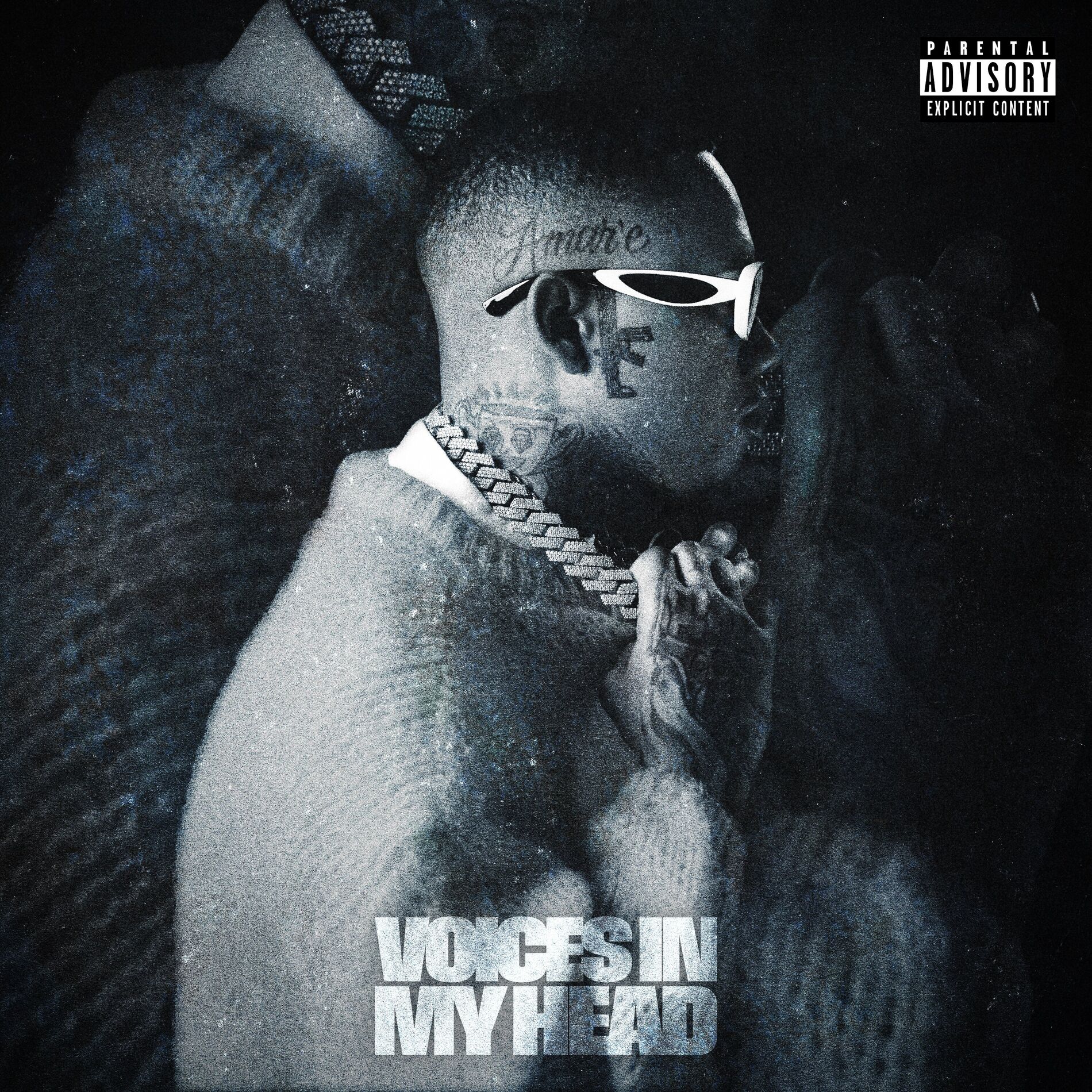 Album cover of Voices in My Head