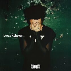 Cover of breakdown.