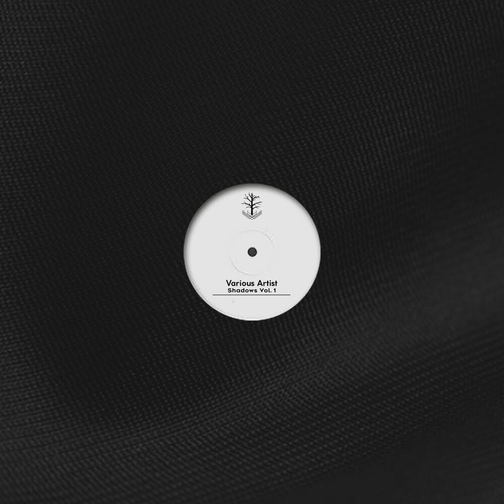Picture of Shadows Vol. 1