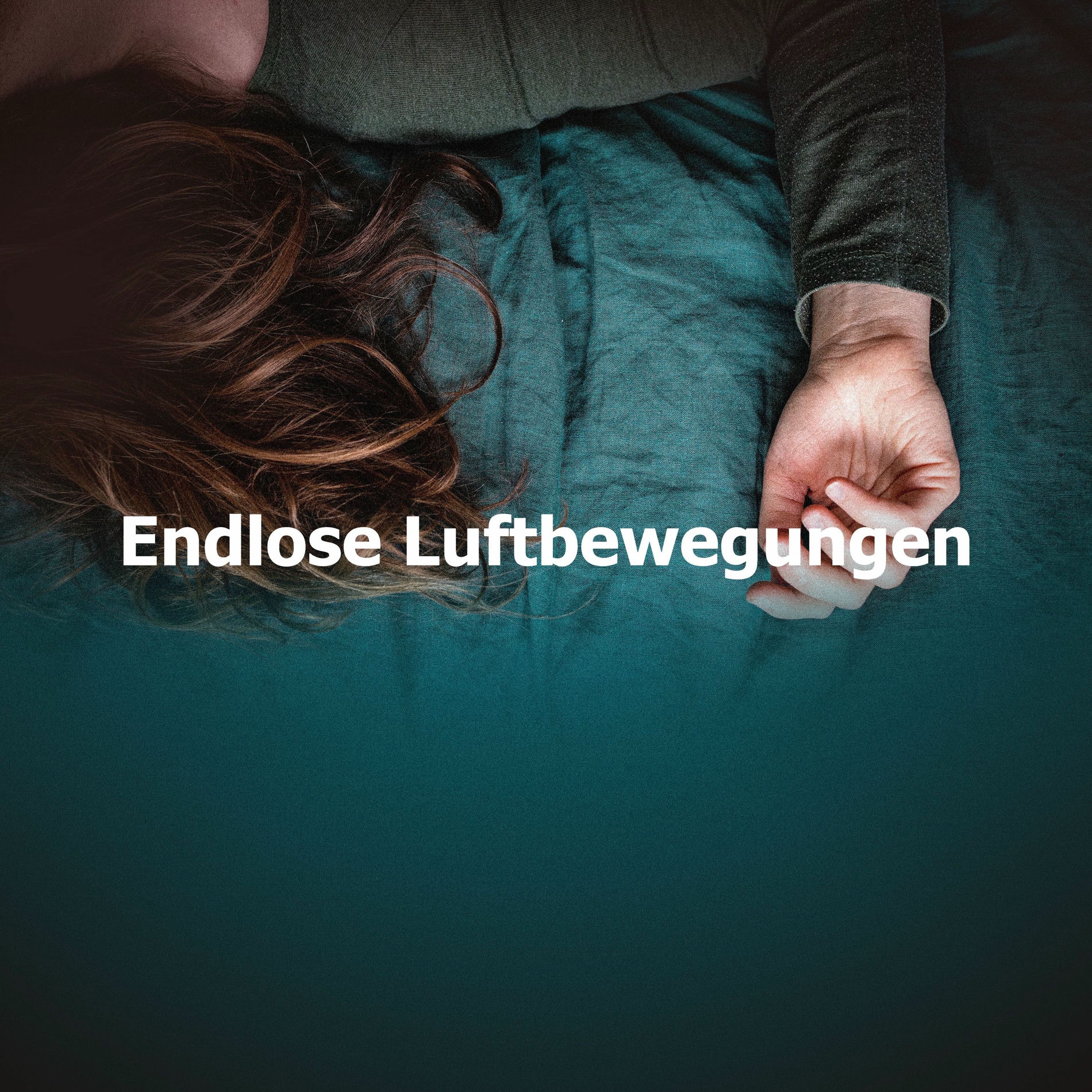Album cover of Endlose Luftbewegungen