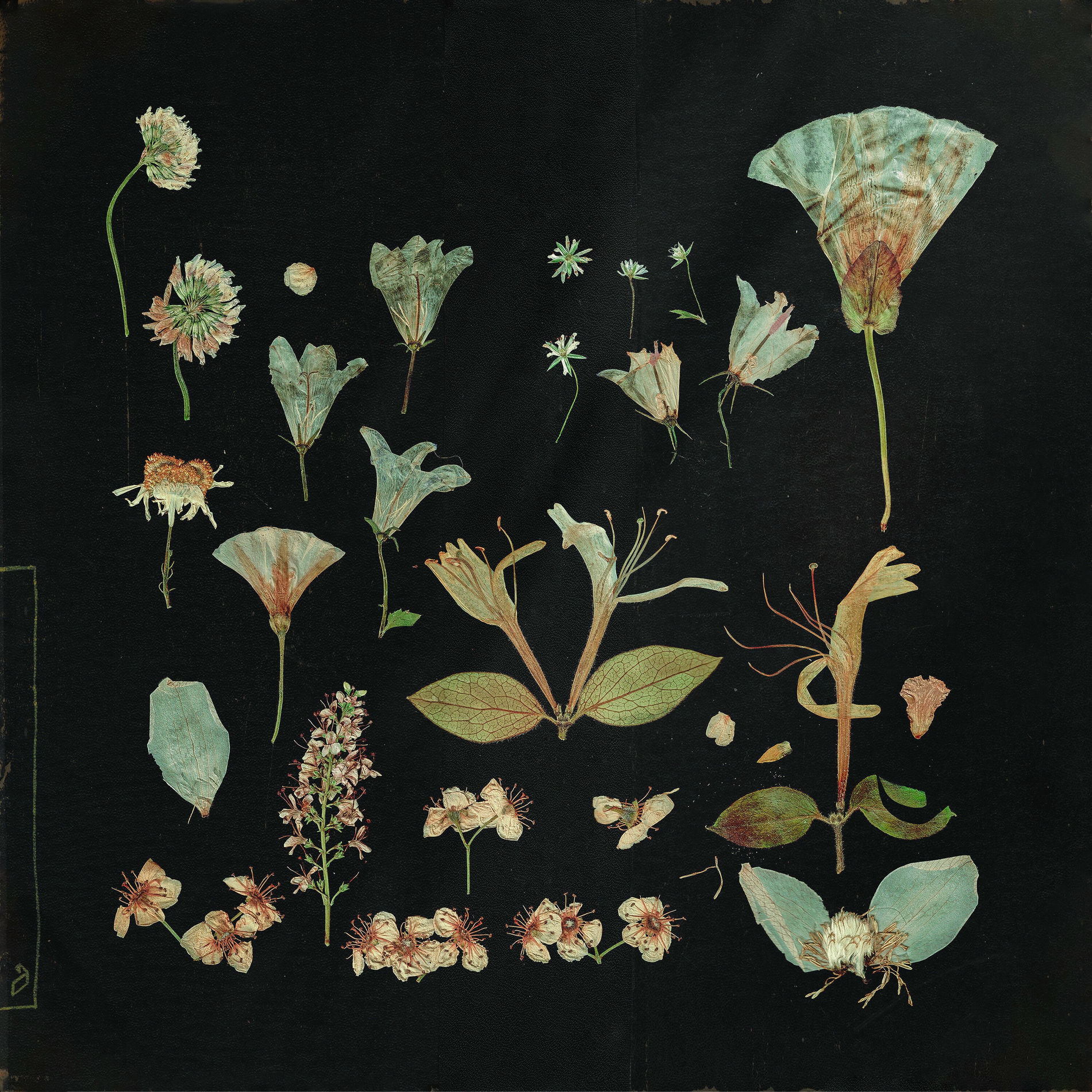 Album cover of when the quiet comes