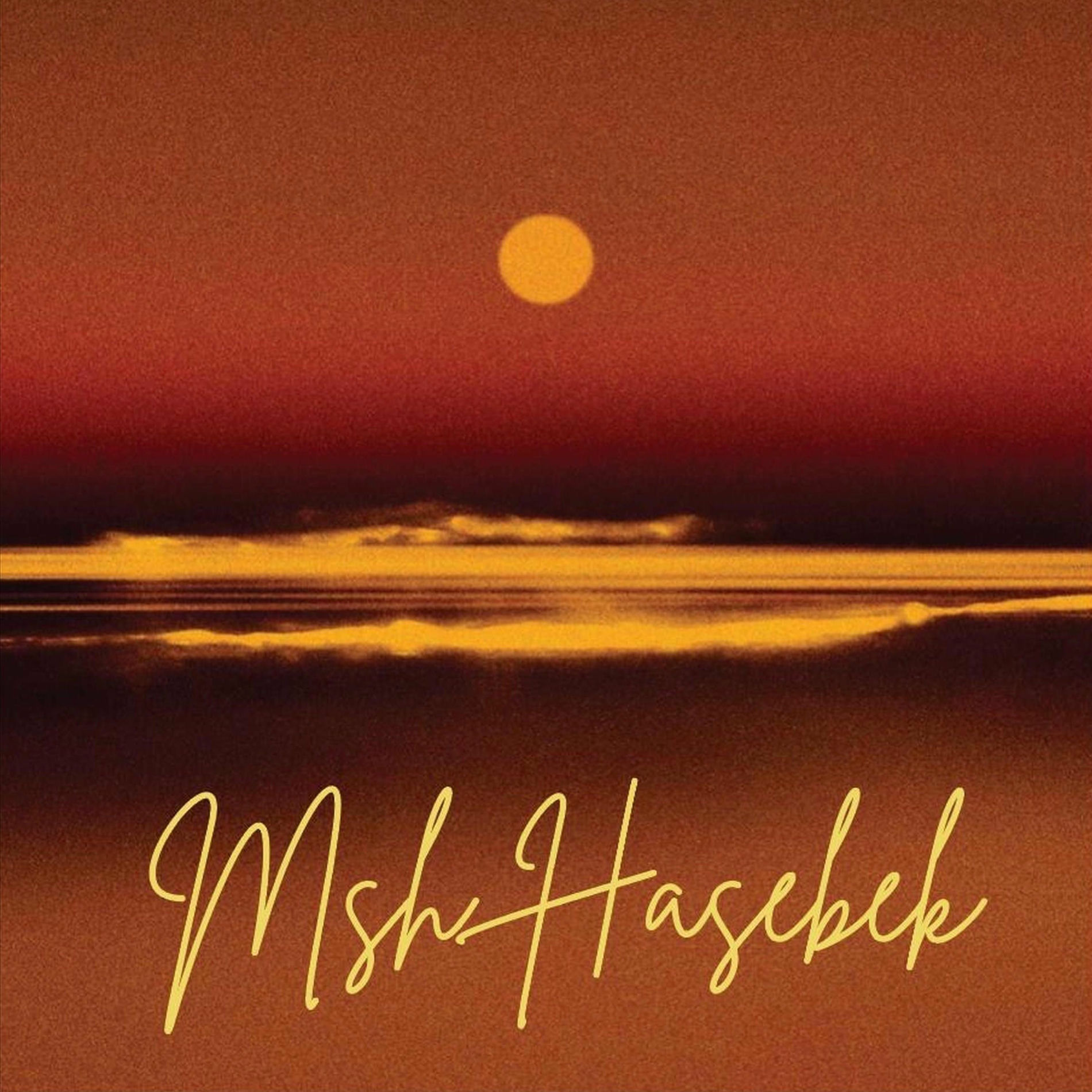 Album cover of MSH Haseebek (feat. ZEINA)