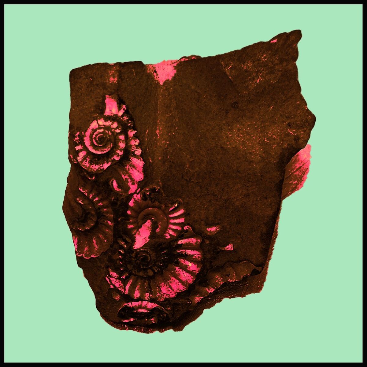 Album cover of Amor