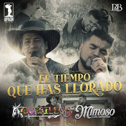 Cover of El Tiempo Que Has Llorado