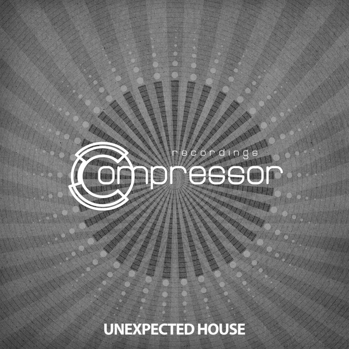 Album cover of Unexpected House