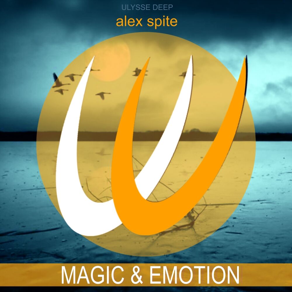 Picture of Magic and Emotion