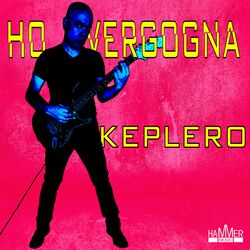 Cover of Ho vergogna