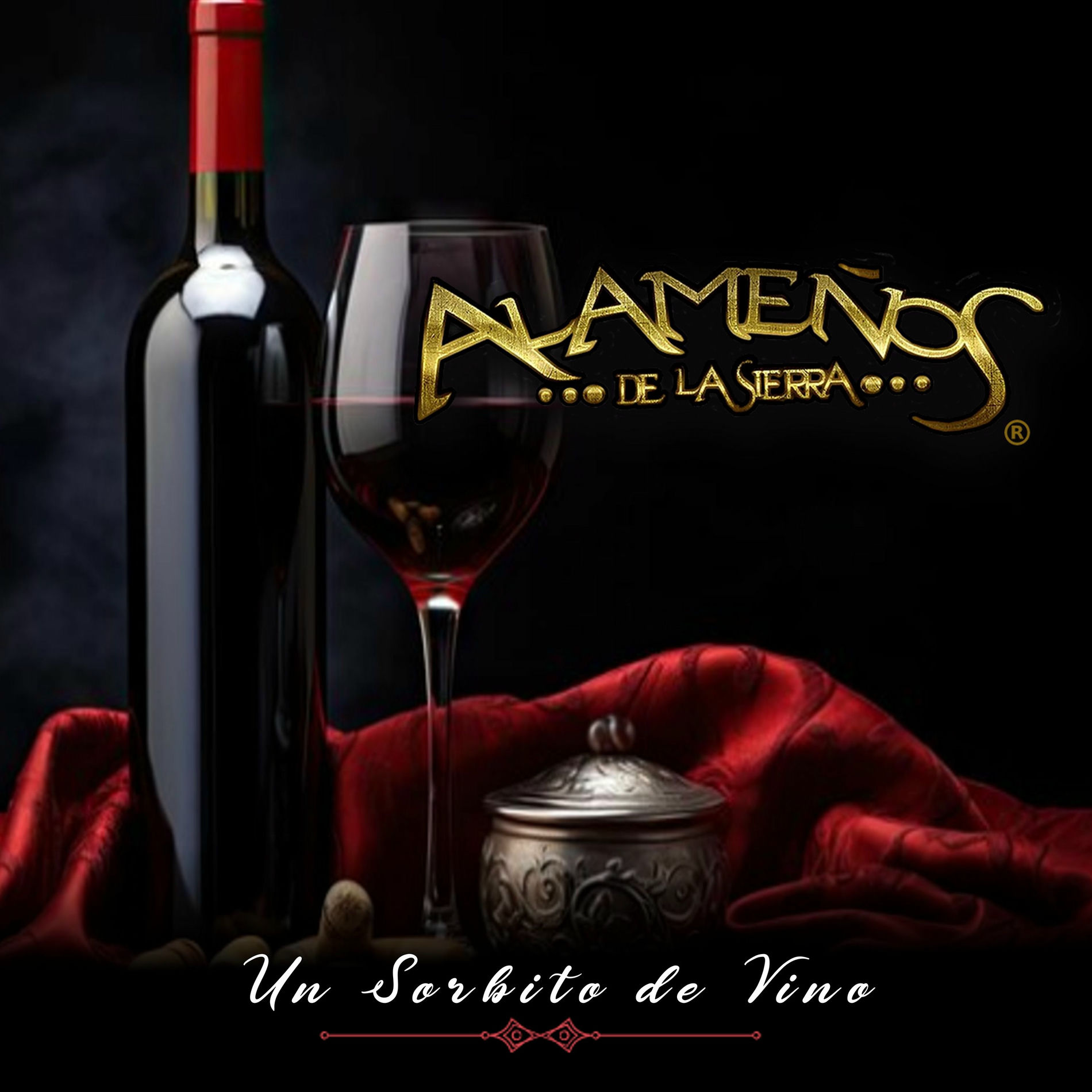 Album cover of Un Sorbito De Vino