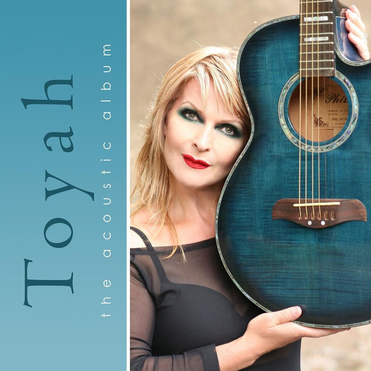 Album cover of The Acoustic Album