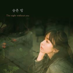 Cover of The night without you