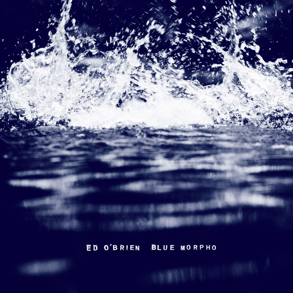 Blue Morpho cover