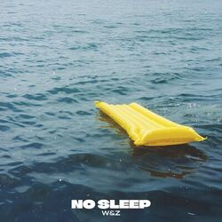 music cover