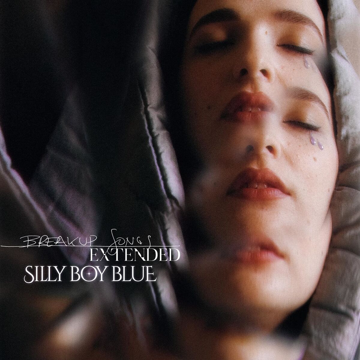 Album cover of Breakup Songs (Extended)