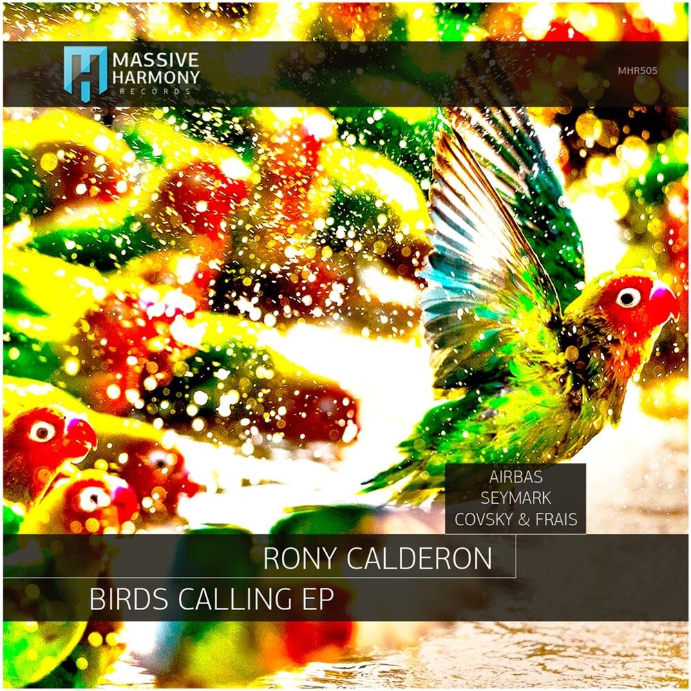 Picture of Birds Calling (Seymark Remix)