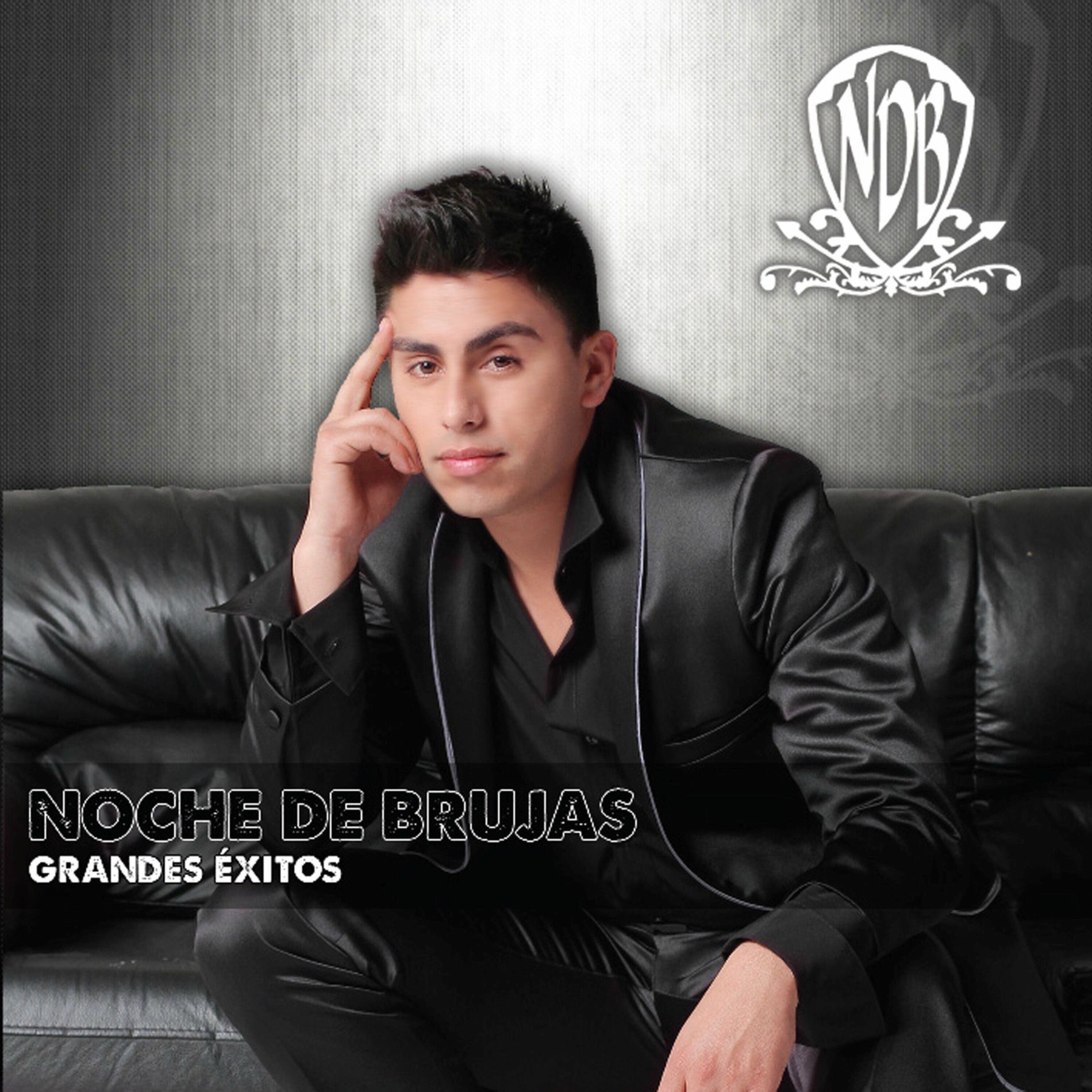 Album cover of Grandes Exitos