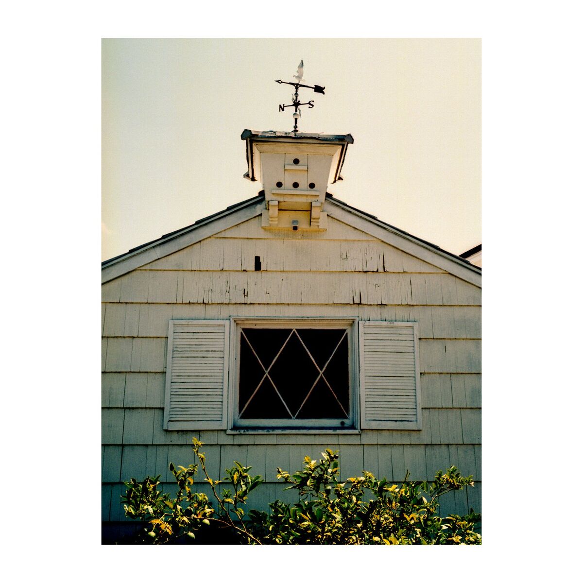 Album cover of ghosts & cowboys