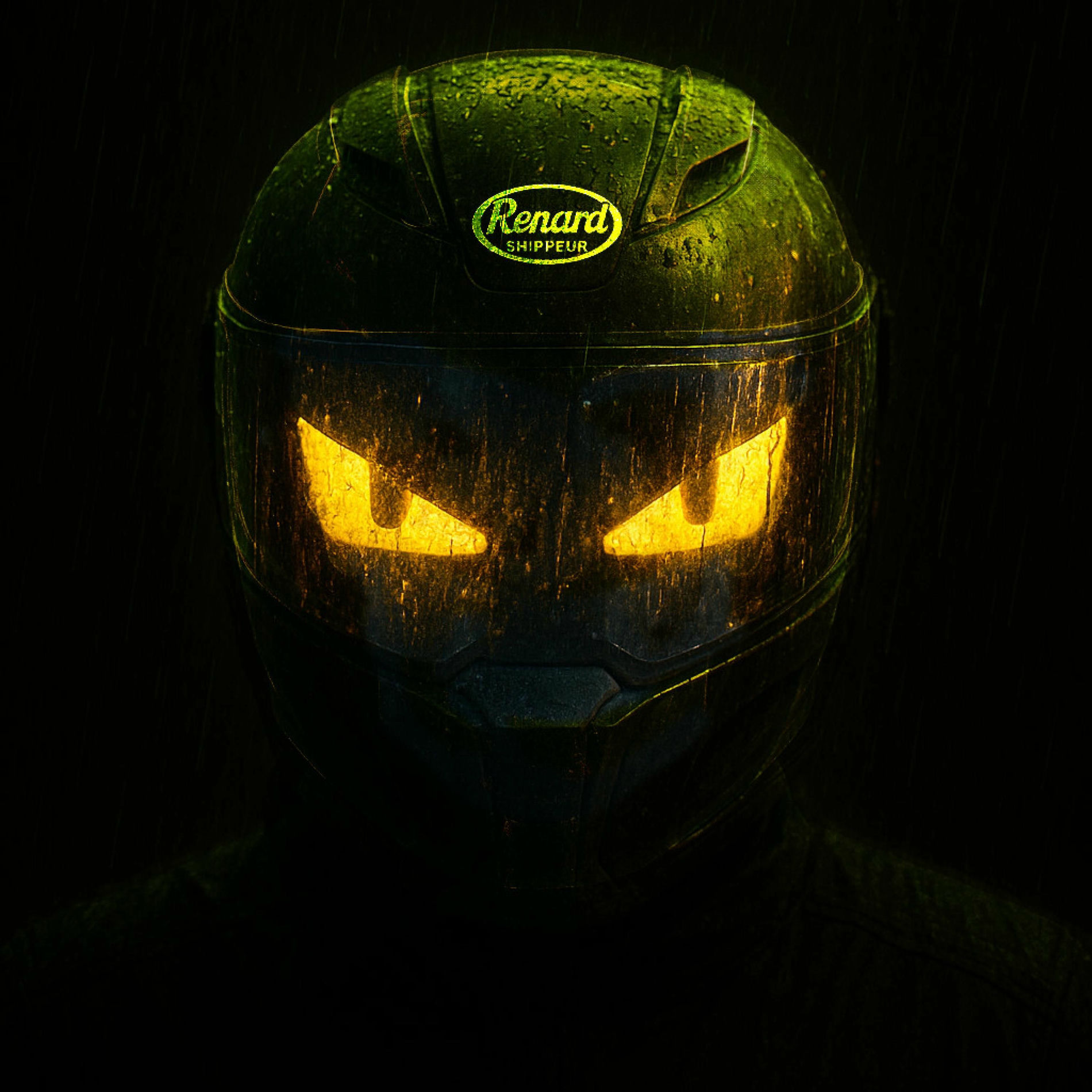 Album cover of Renard