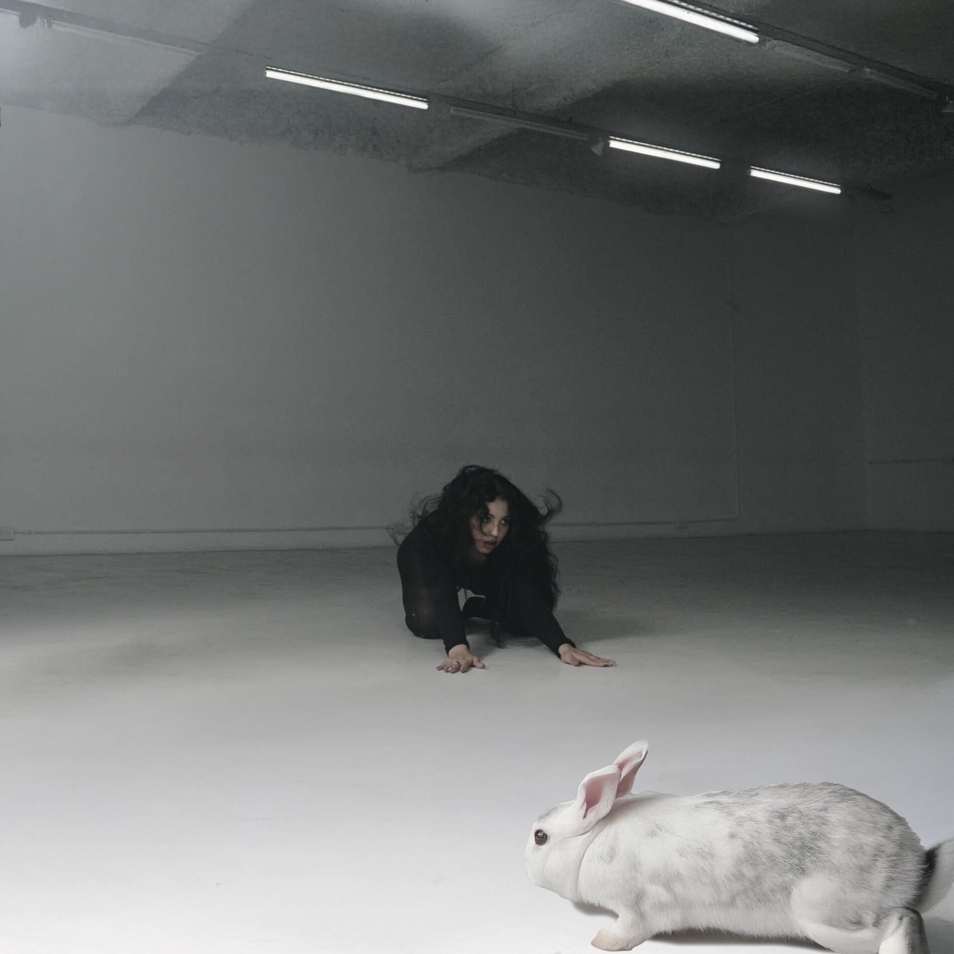 Album cover of ALTER EGO (feat. Punga & Said)