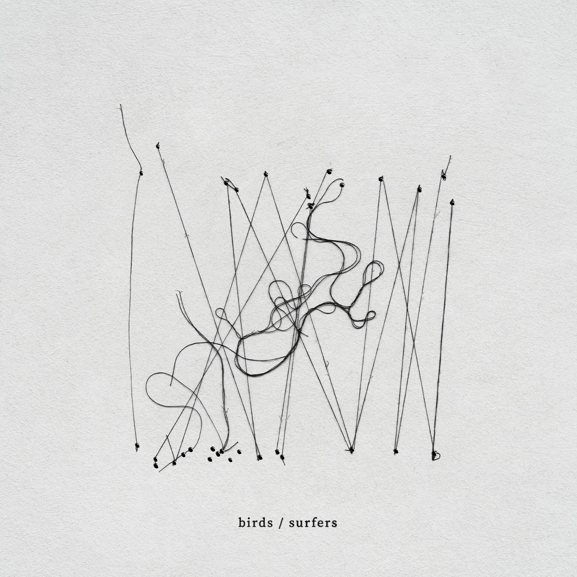 Album cover of birds / surfers
