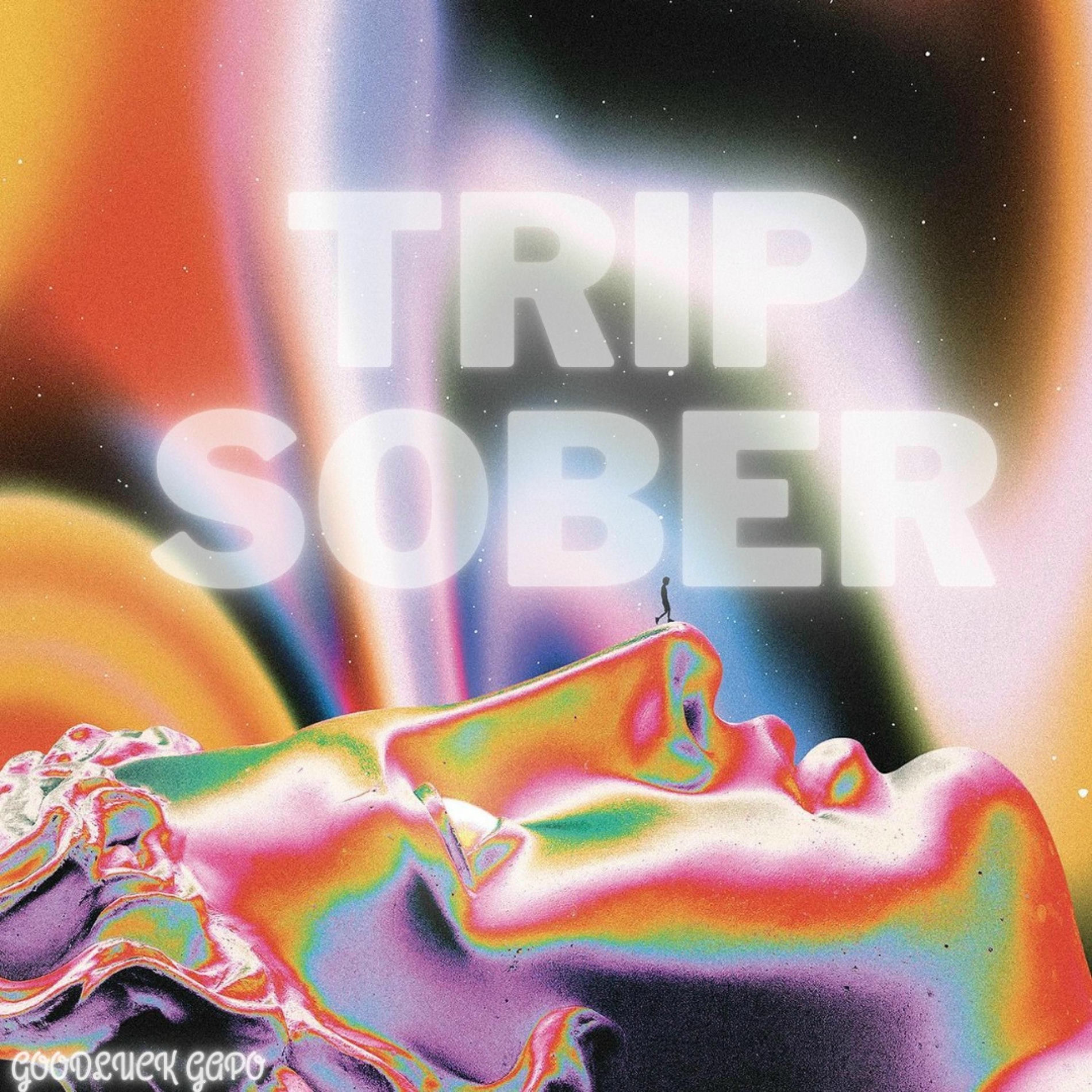 Album cover of Trip Sober