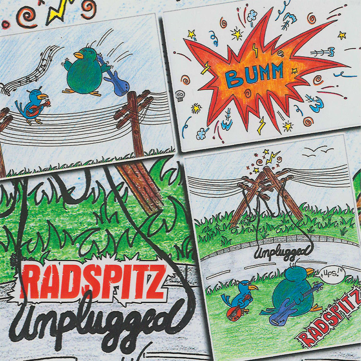 Album cover of Radspitz unplugged