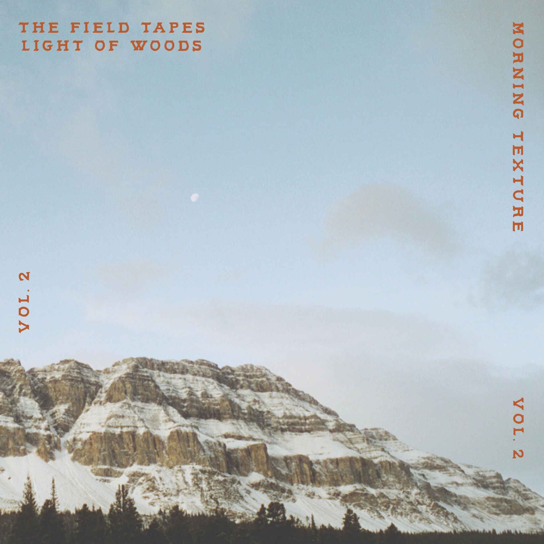 Album cover of Morning Texture Vol. 2