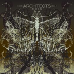 Cover of Ruin