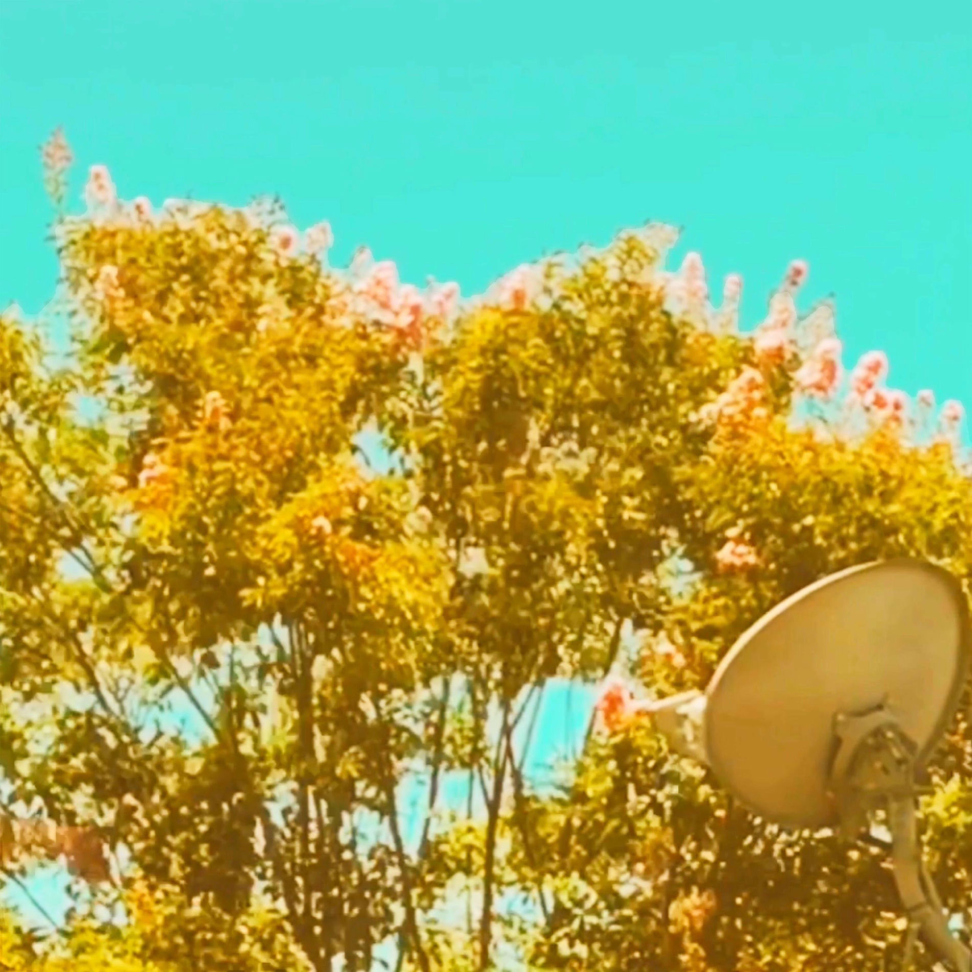 Album cover of I Don't Know