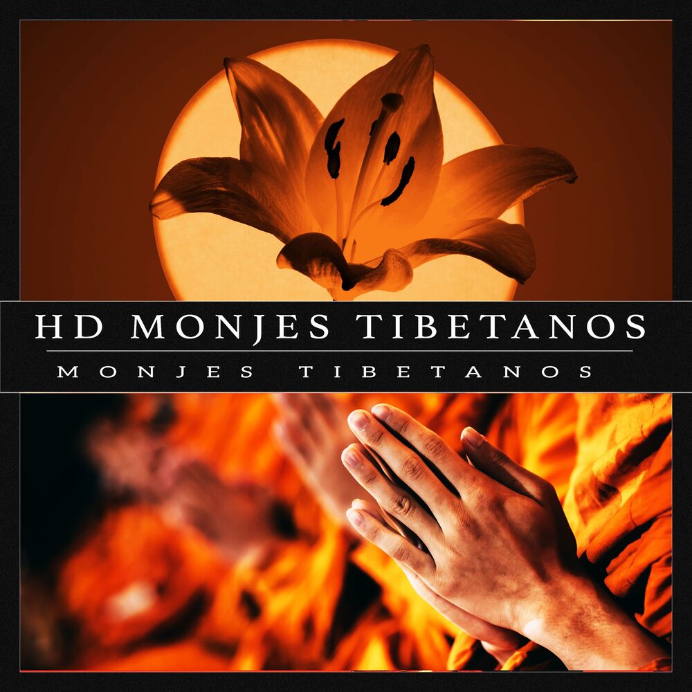 Picture of HD Monjes Tibetanos