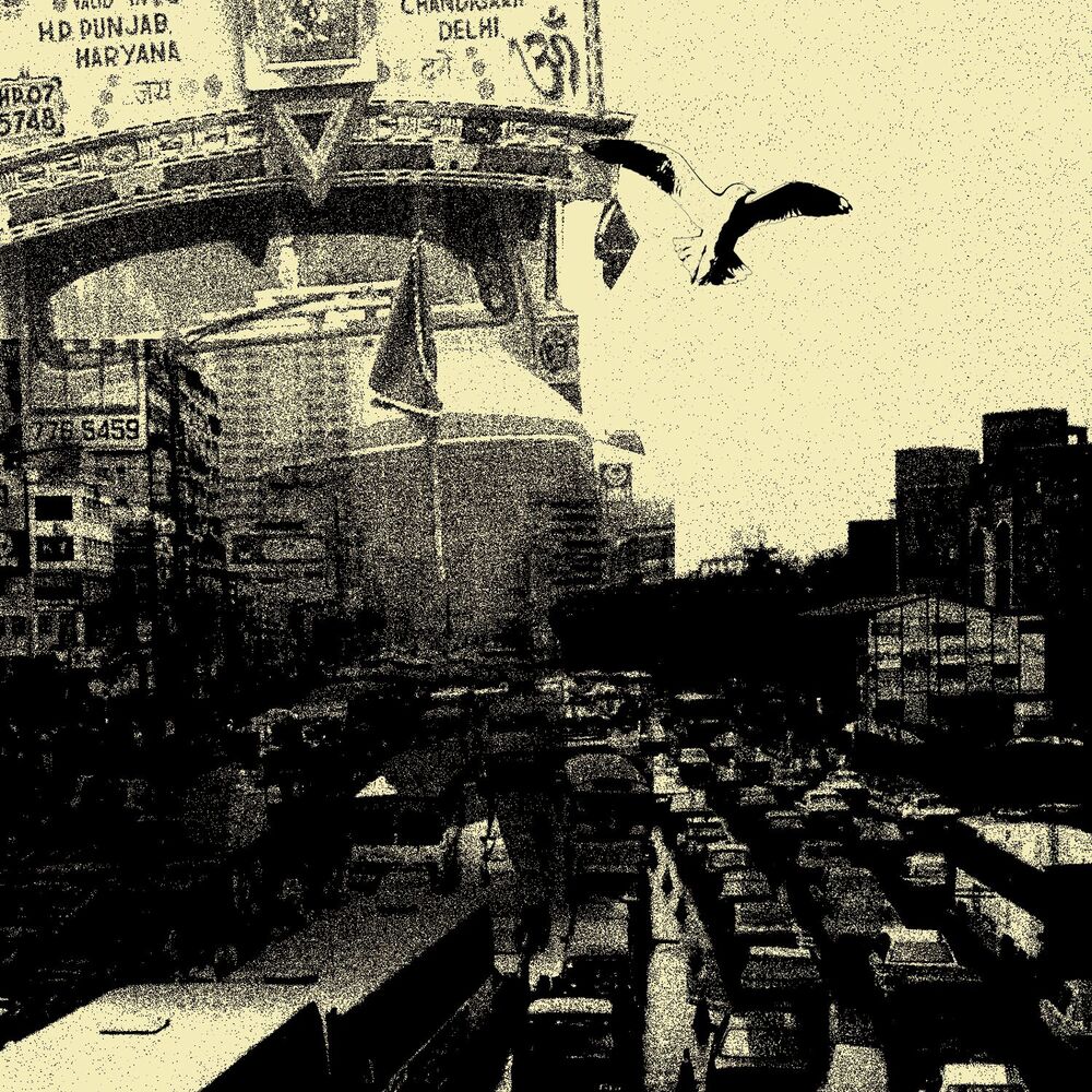 Picture of While You Hesitate