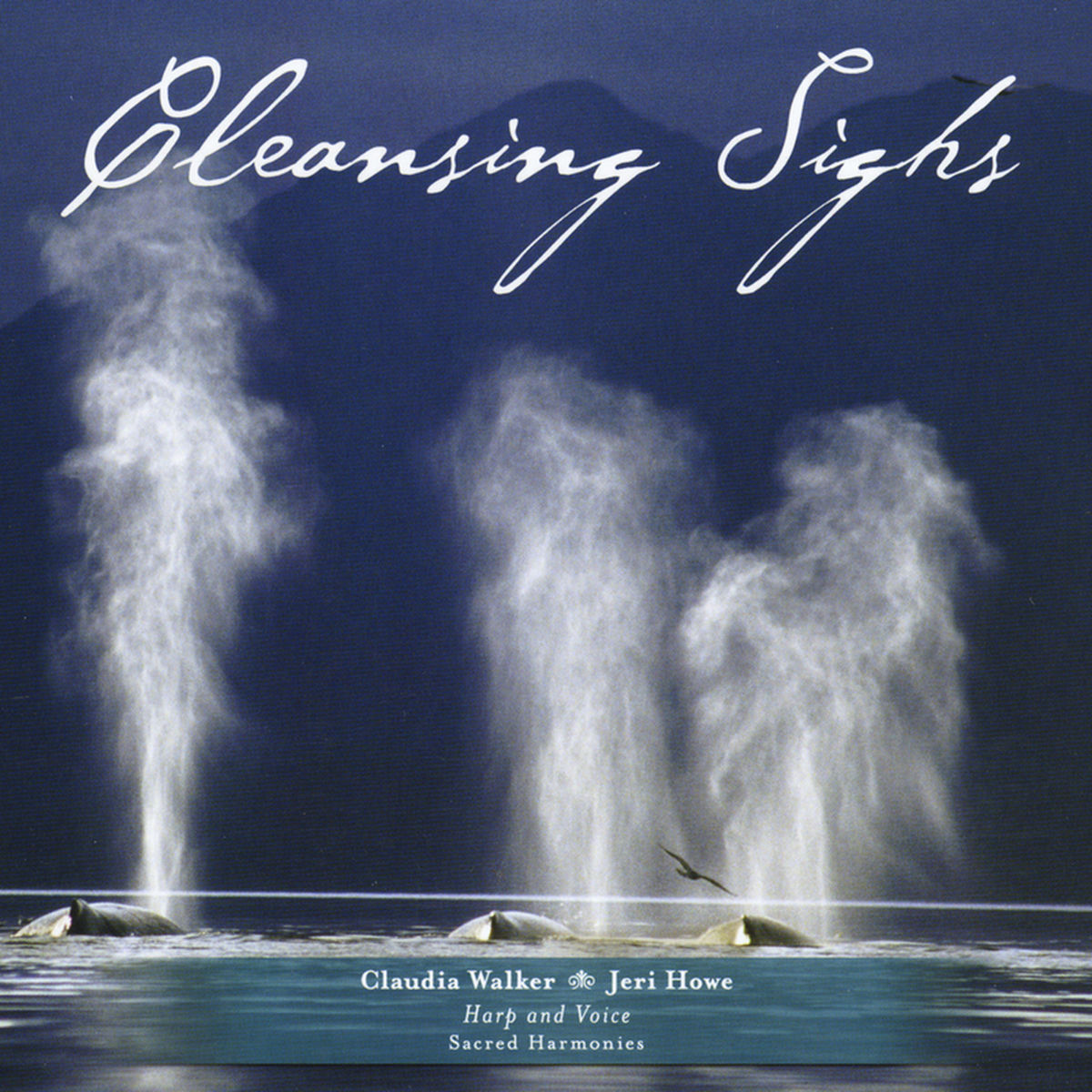 Album cover of Cleansing Sighs