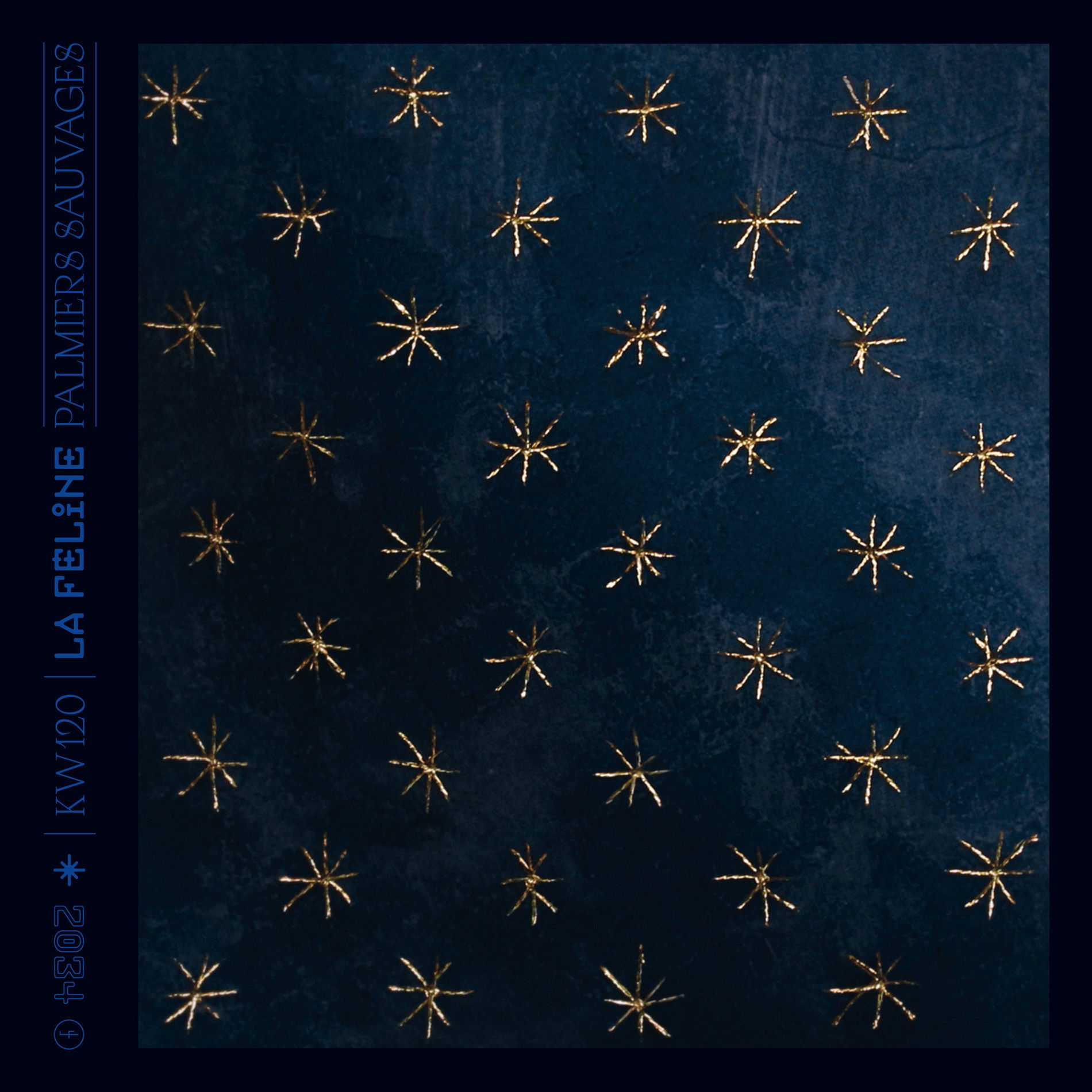 Album cover of Palmiers sauvages