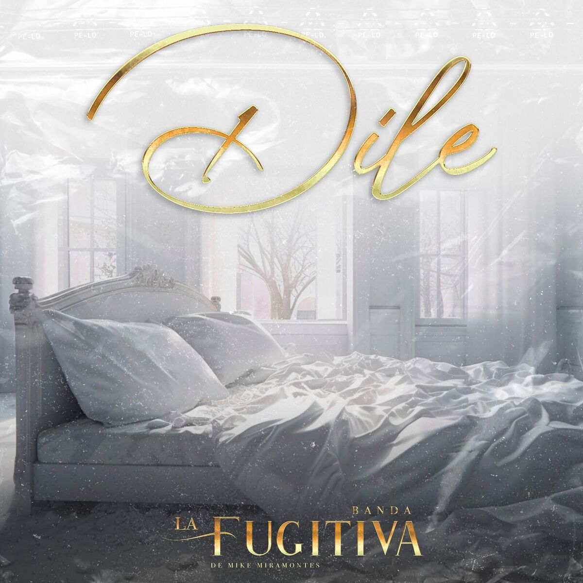 Album cover of Dile