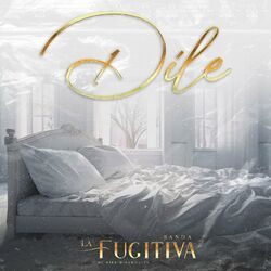 Cover of Dile