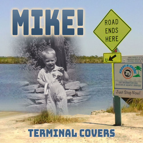 Terminal Covers