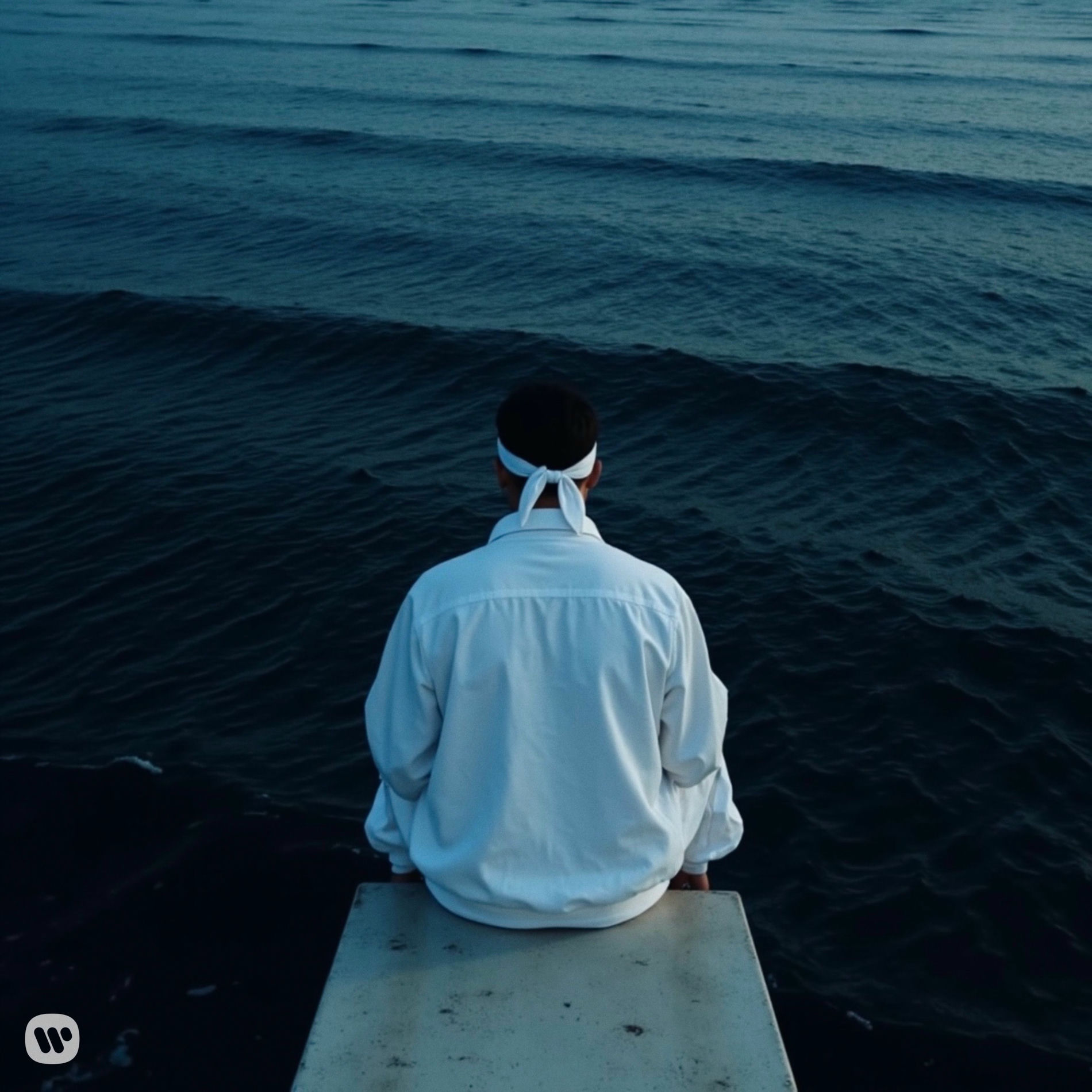 Album cover of Nemo (Last95 Remix)